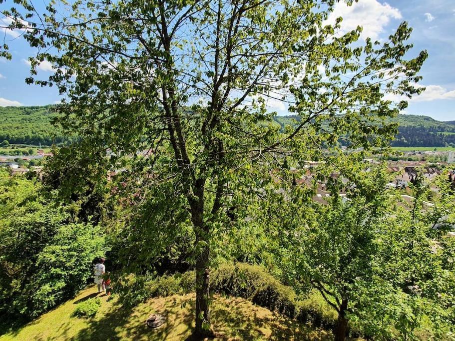 Studiowohnung Schwabenalb Mit Panoramablick Albstadt Kültér fotó